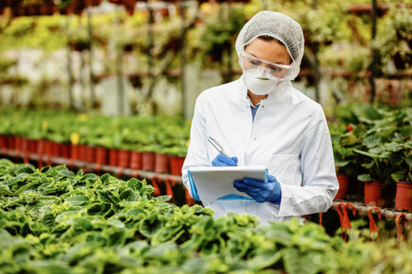Food Safety Course Level 1