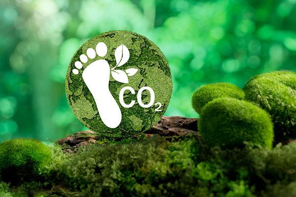 ISO 14064-1:2018 Carbon Footprint Course – Internal Verification Training