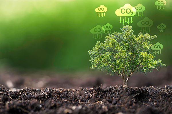 ISO 14064 Carbon Footprint Course – Implementation Training